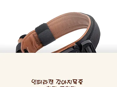 인터라켄 강아지목줄 대형견 중형견 사 관련 이미지
